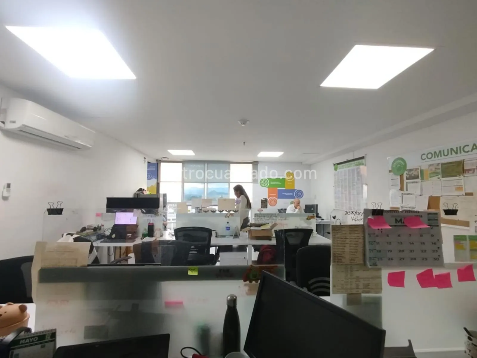 Office for rent in LOS ALPES, Pereira